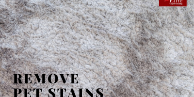 Remove pet stains